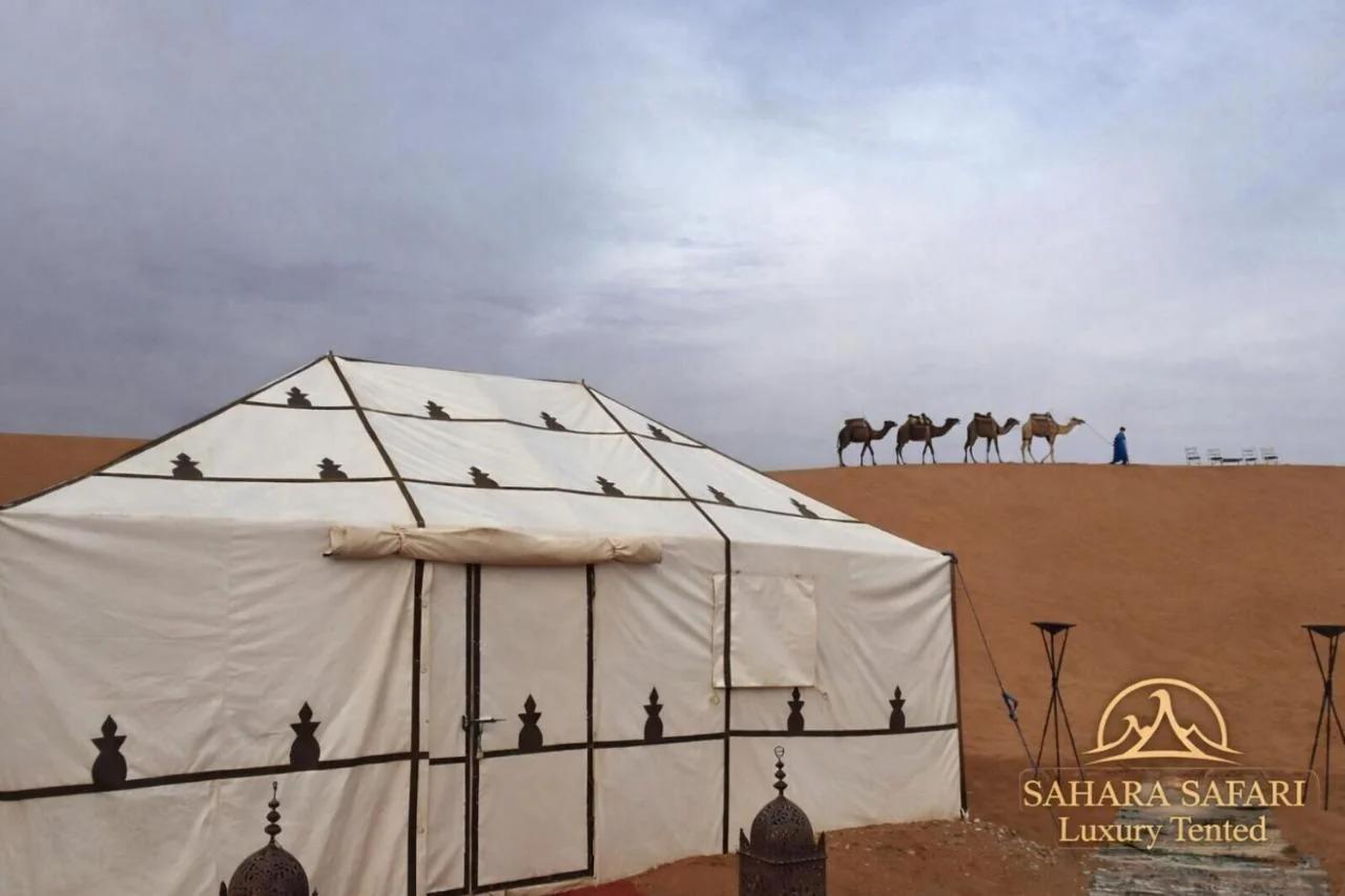 Sahara Safari Luxury Camp & Activities photo