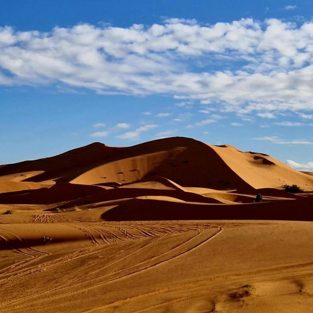 Sahara Luxe Camp photo