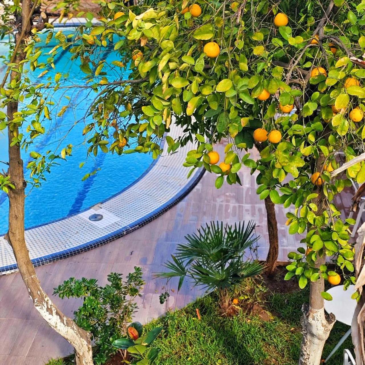 Hotel EZZAHIA by HMS photo