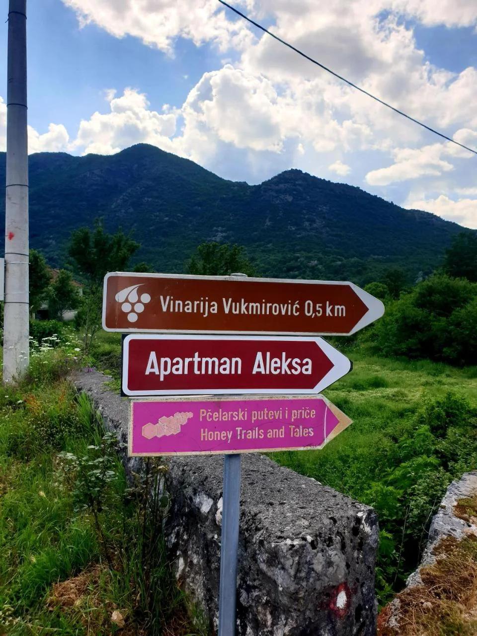 Aleksa foto