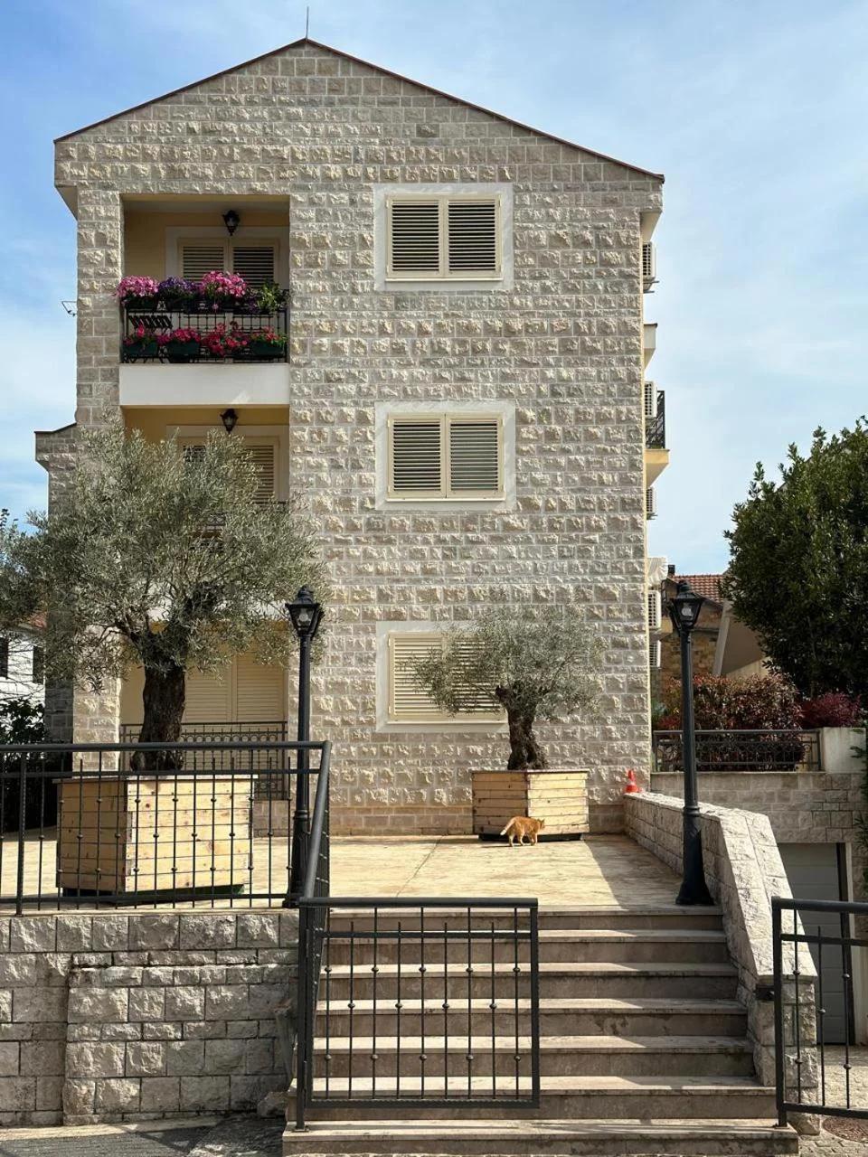 Apartman Tara photo