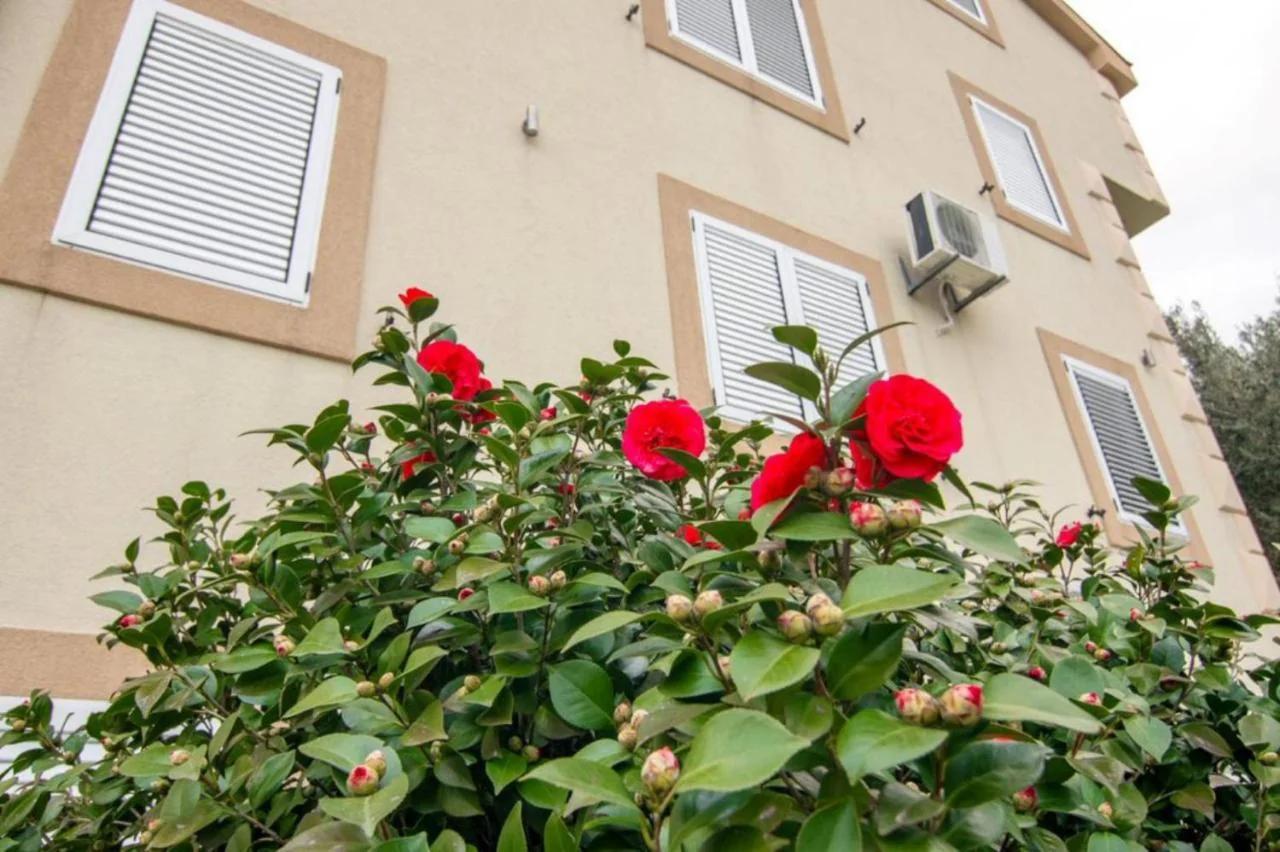 Apartments Savić photo
