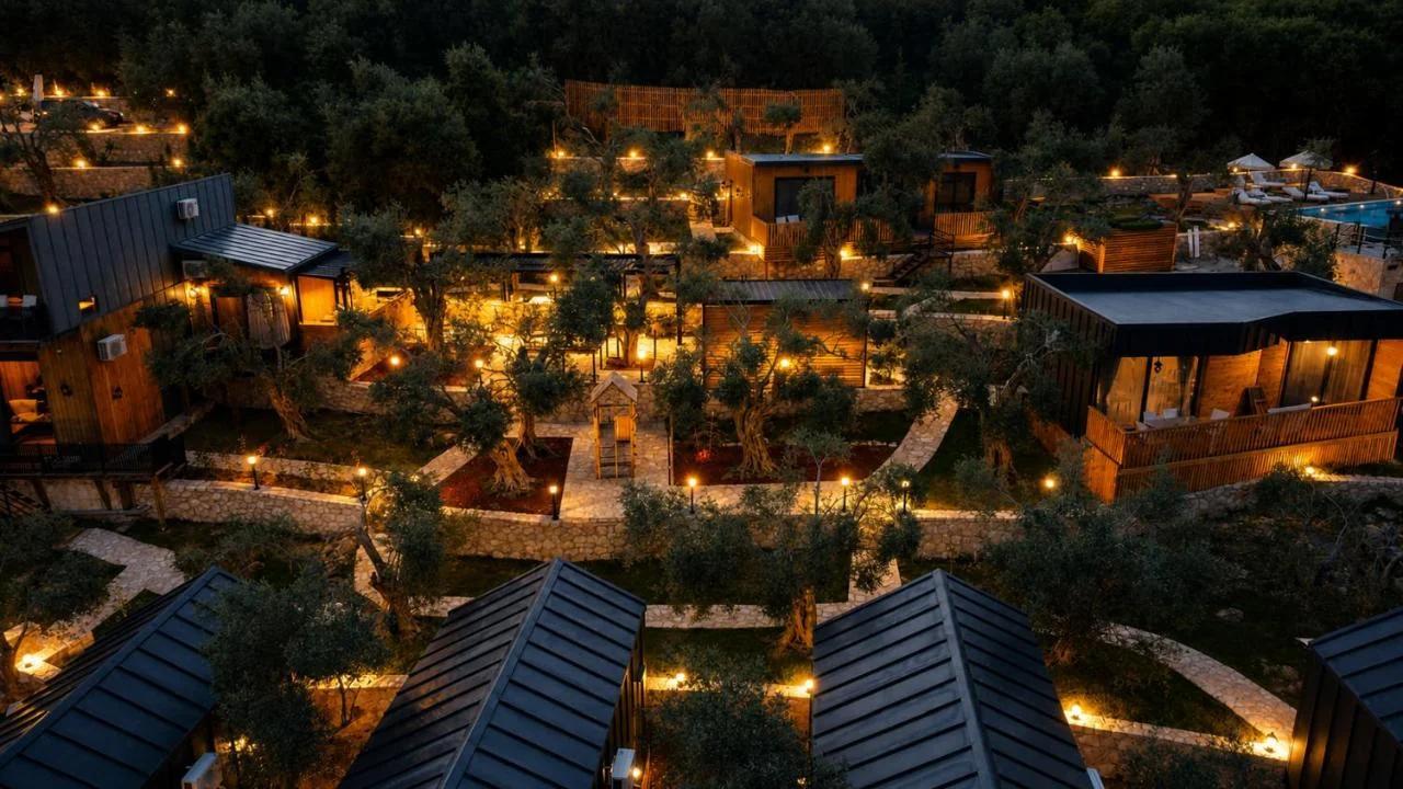 Azure Olive Collection foto