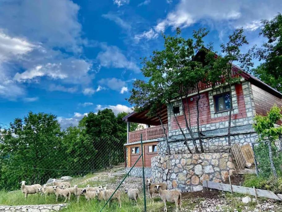 Mountain Village House photo
