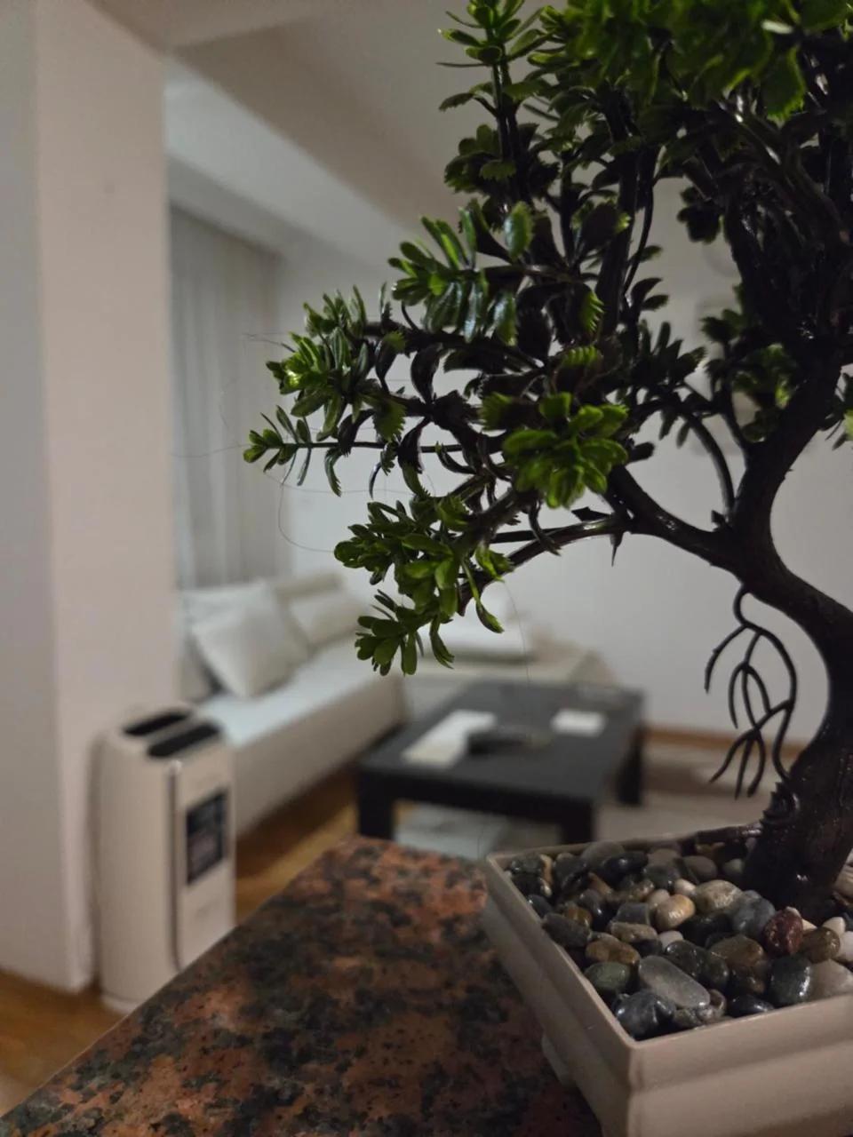 Central Bee Apartment photo