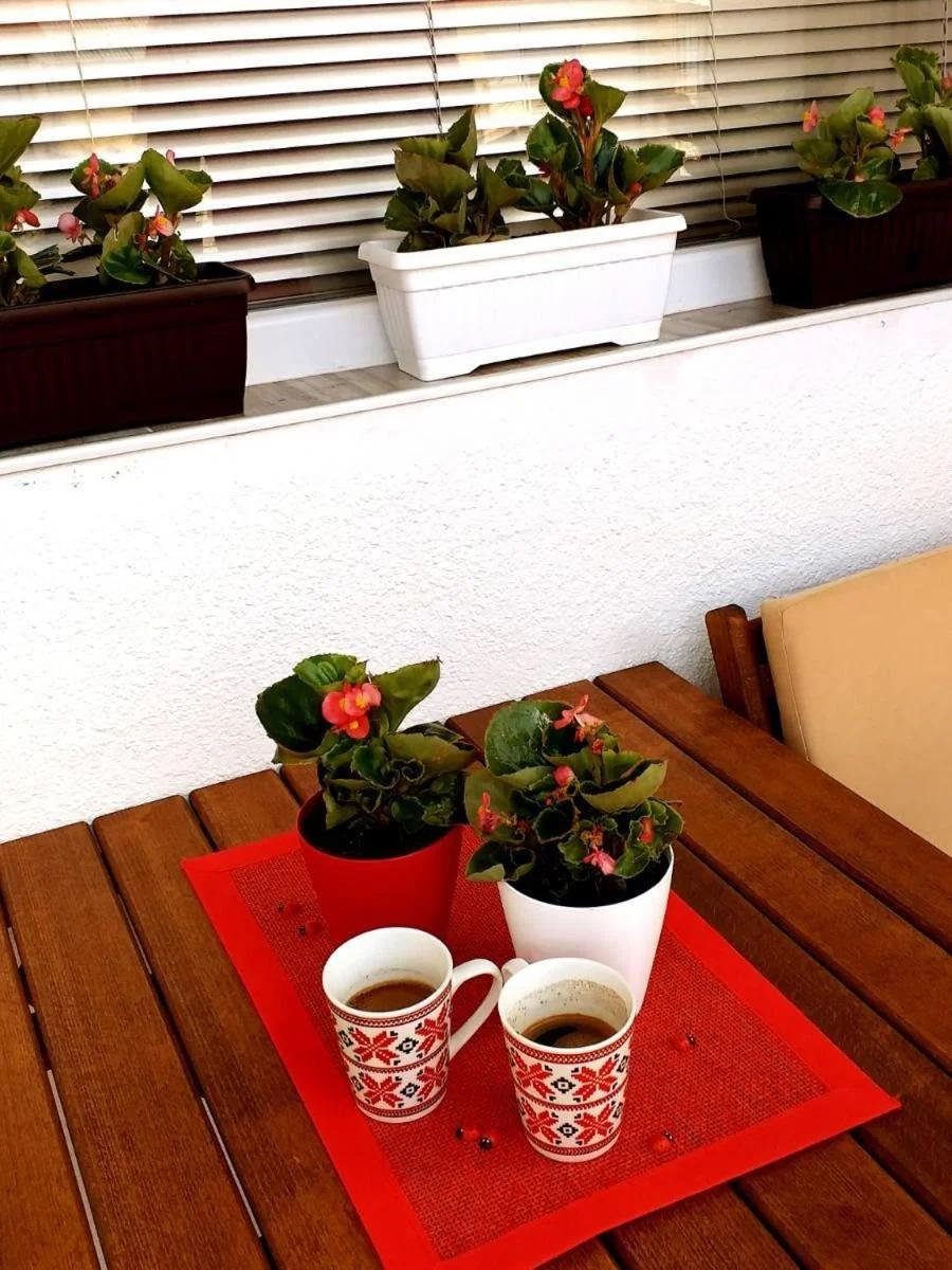 Voska Apartment photo