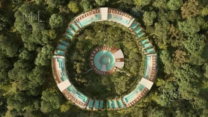 Alof Studio in the Jungle