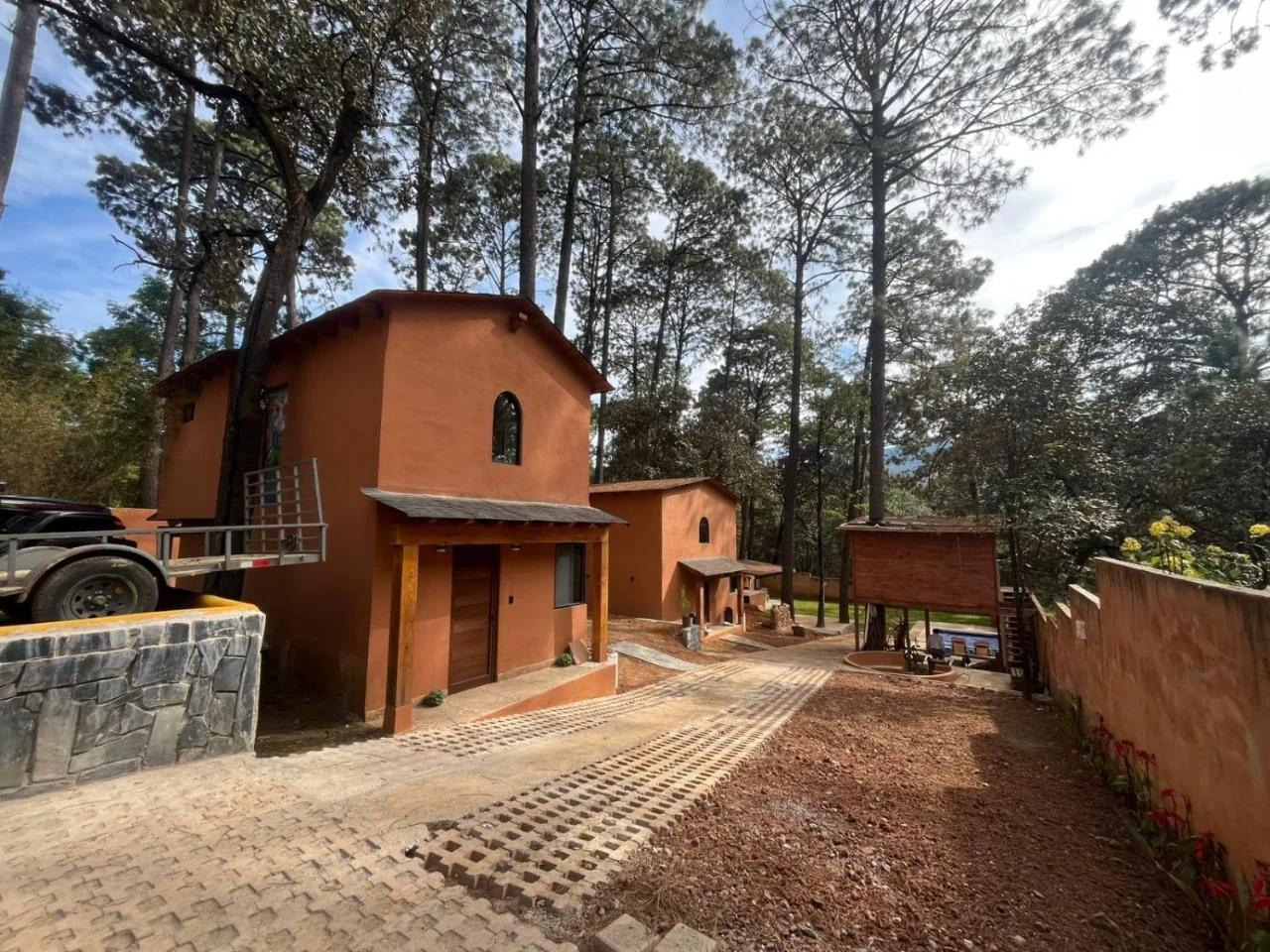Bosque de Avandaro foto