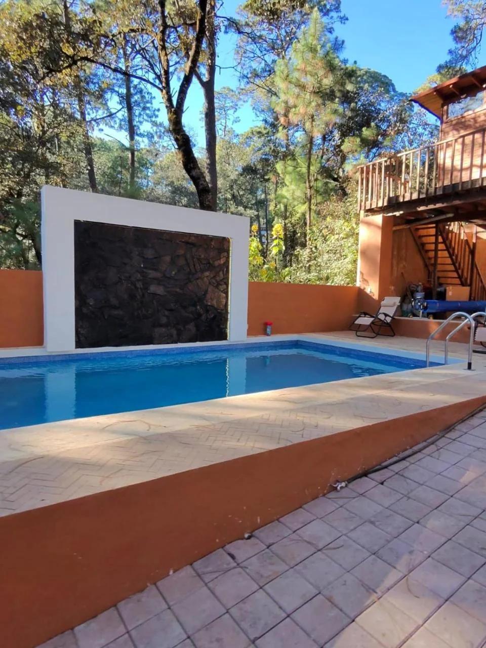 Bosque de Avandaro foto