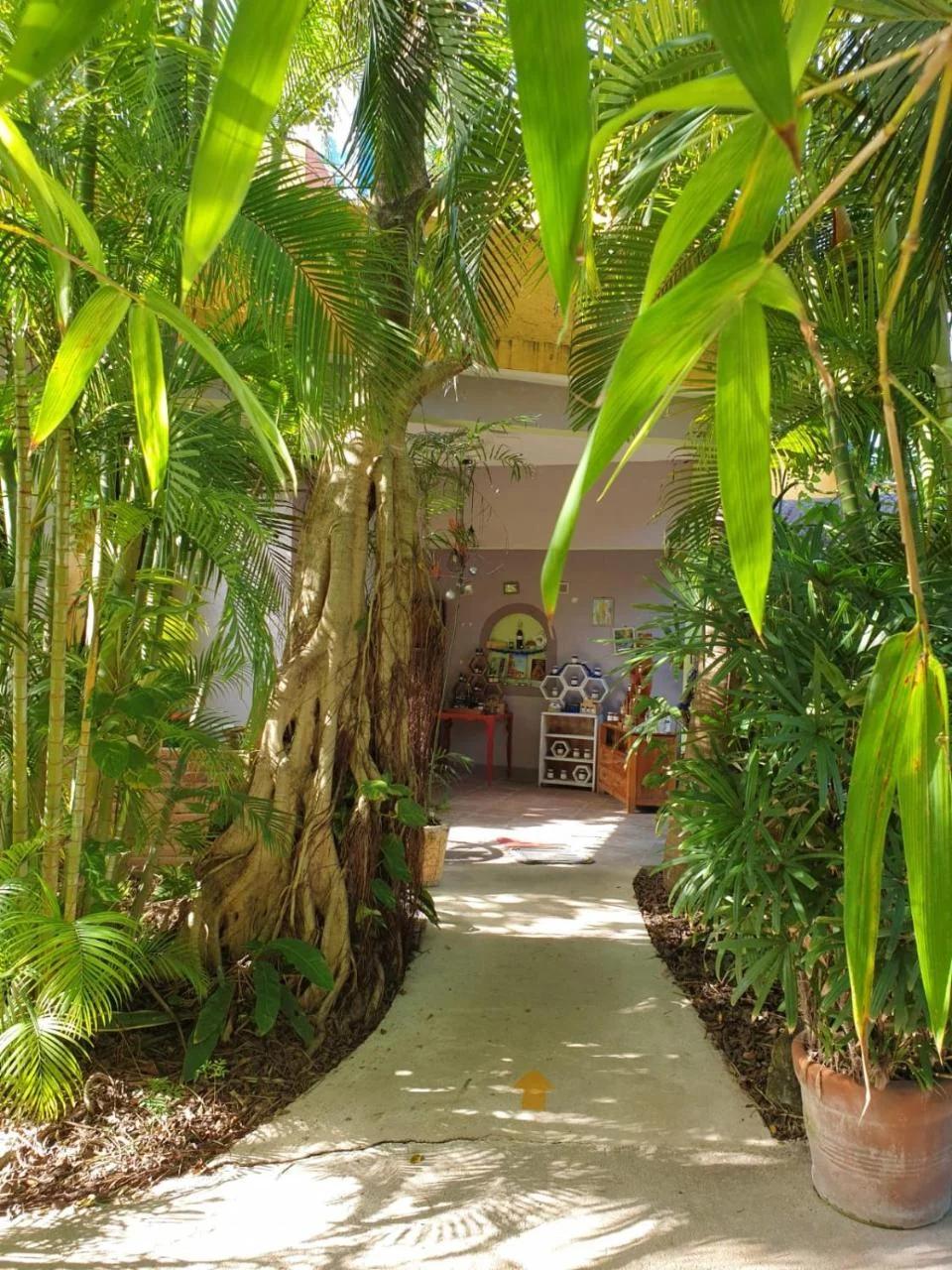 Casa Don Diego foto