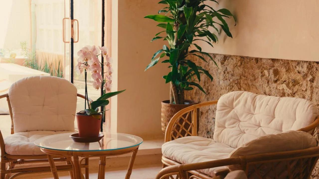Casa Sofía Centro photo