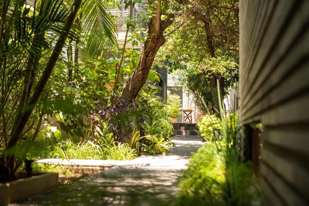 Nardazul "Casa de Sueños" foto