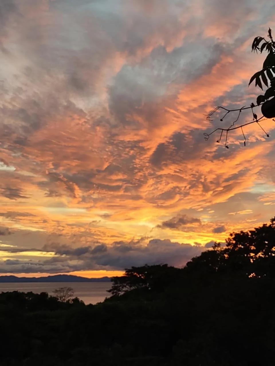 Finca Mystica photo
