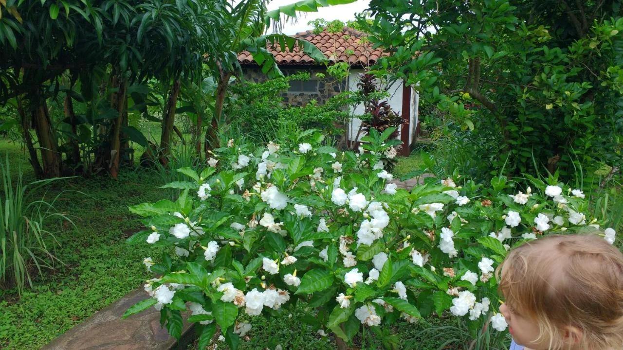 Finca Mystica photo