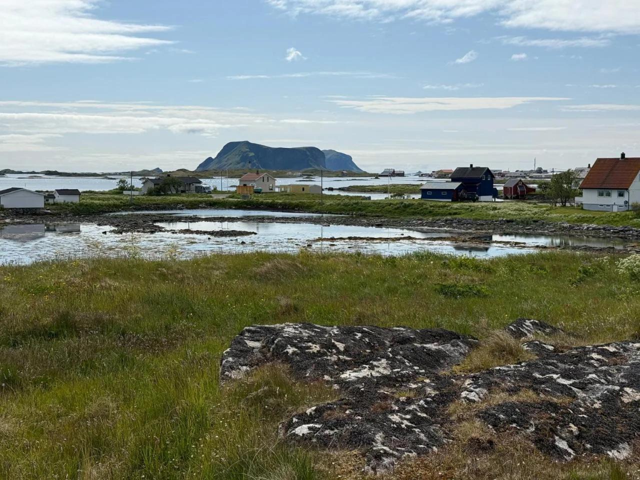 Berget photo