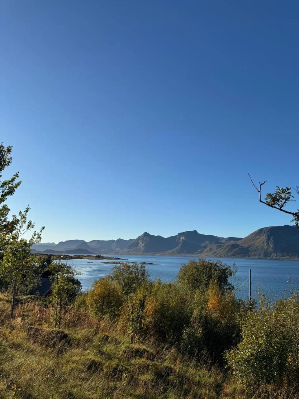 BNR Apartment Lofoten