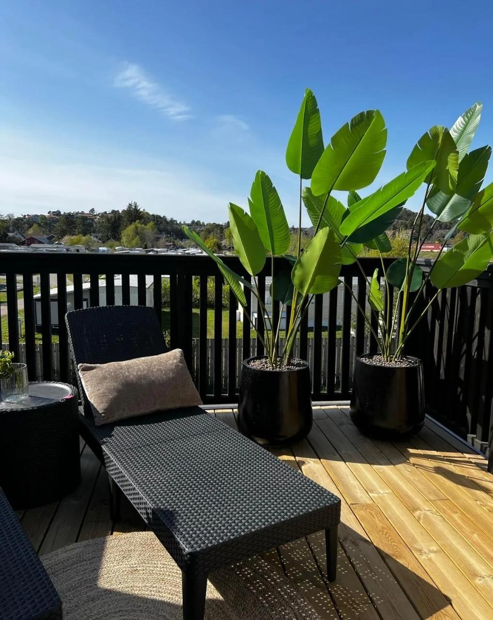 experience a fantastic summer house 2026 foto