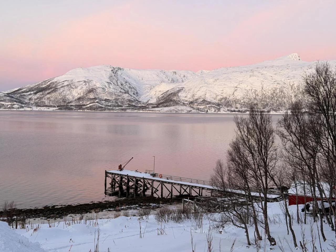 Nordic Sauna Retreat photo
