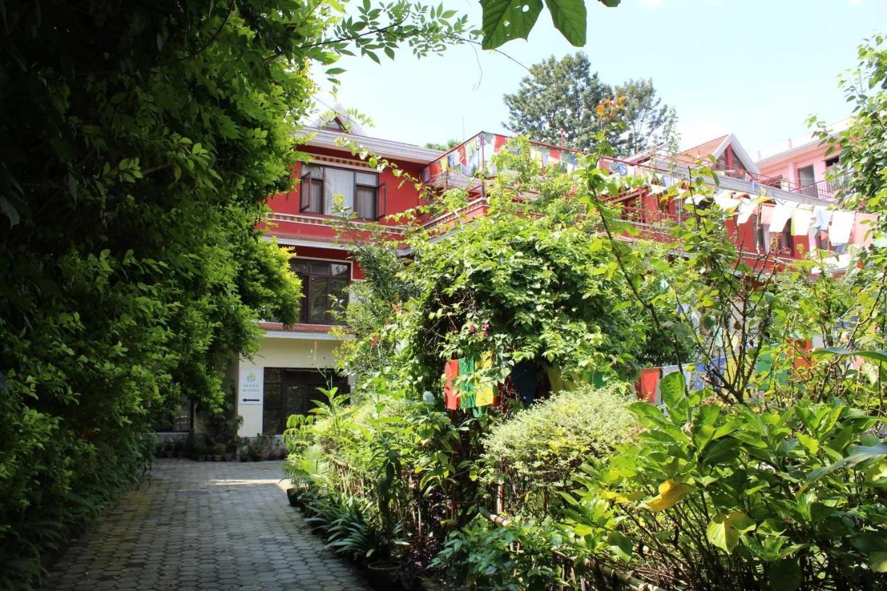 ROKPA Guest House