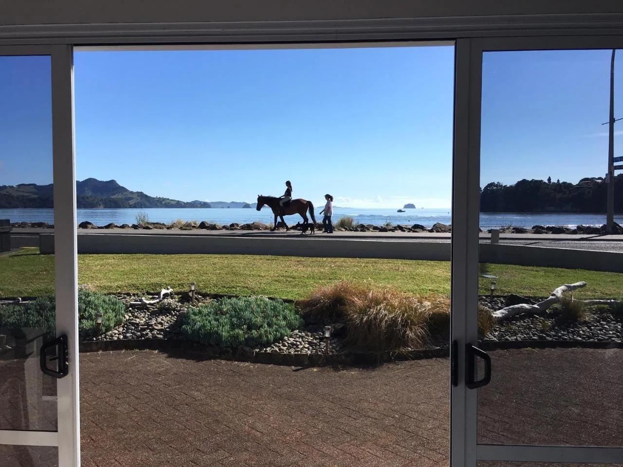 Waterfront Apartments Whitianga foto