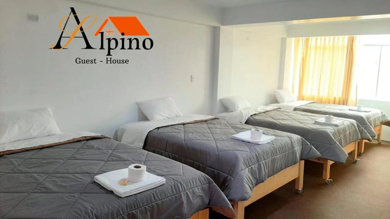 Alpino Guest House photo