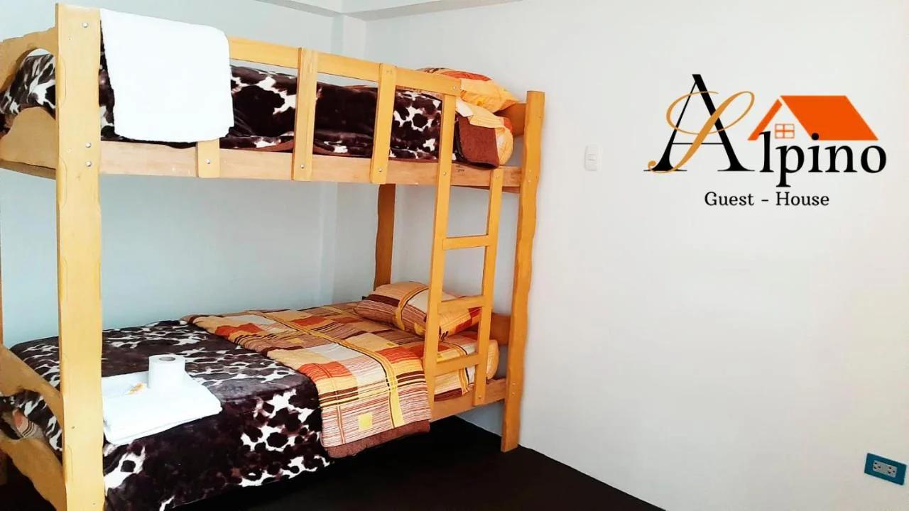 Alpino Guest House photo