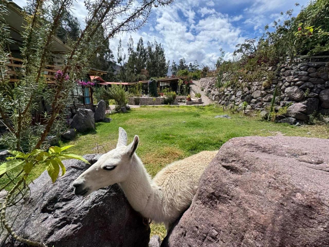 Spirit Of The River Lodge foto