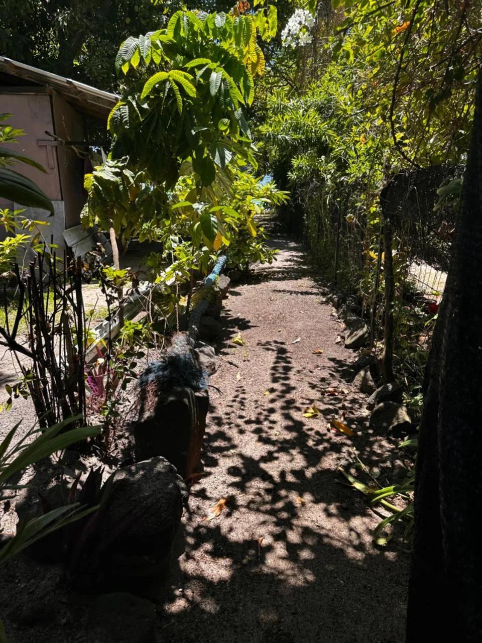 Kukuriaz Fare photo