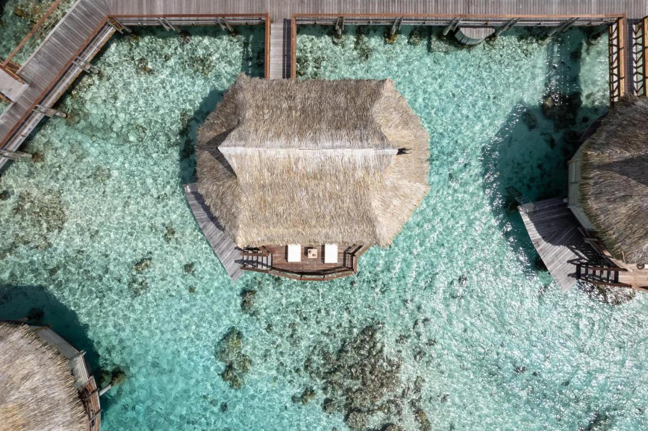 Le Tikehau by Pearl Resorts photo
