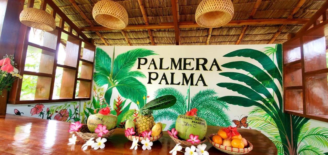 Palmera Palma Garden Level photo