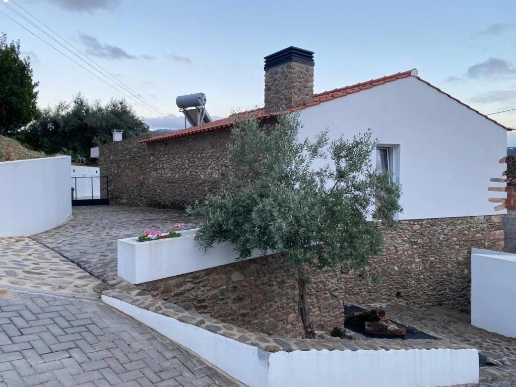 Beautiful House foto