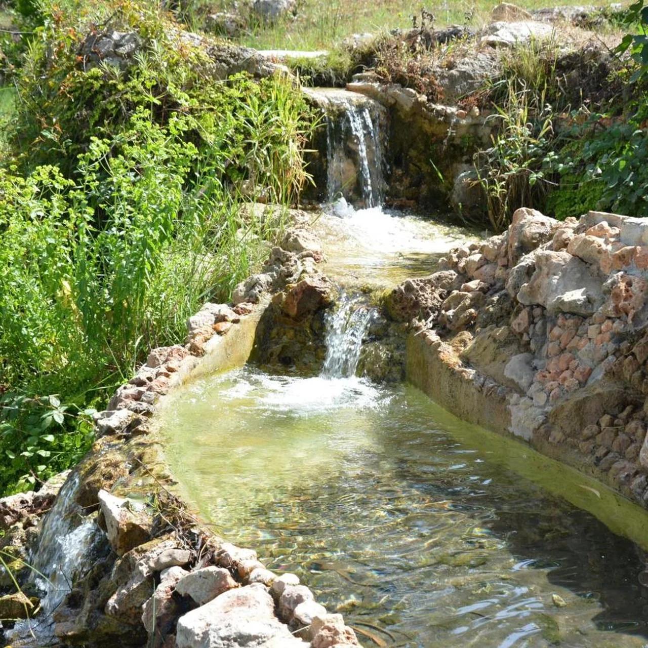 Quinta do Freixo photo