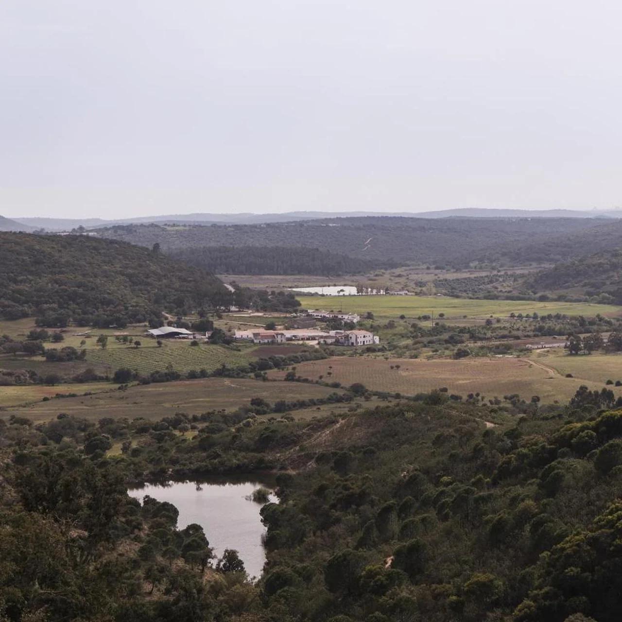 Quinta do Freixo photo