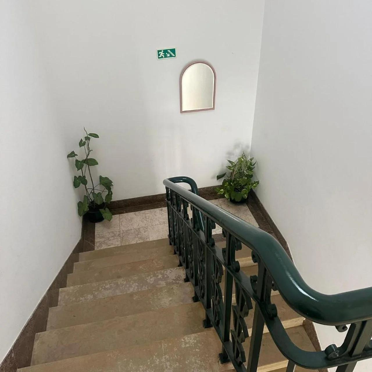 Casa das Oliveiras photo
