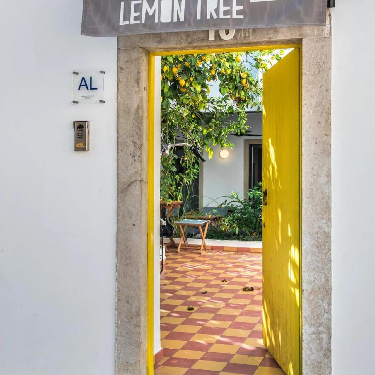 Lemon Tree Stay photo