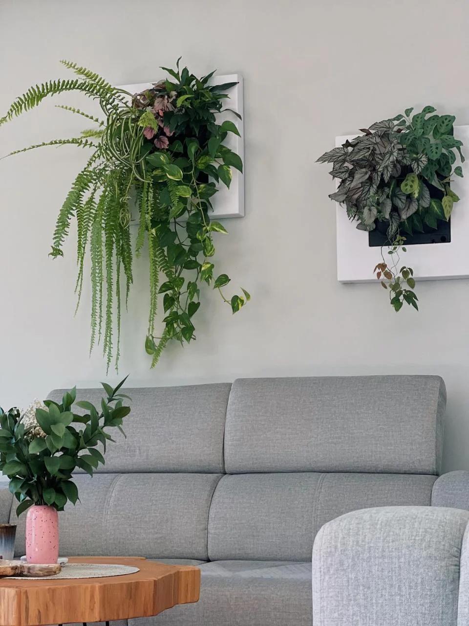 Luna House & Cowork photo