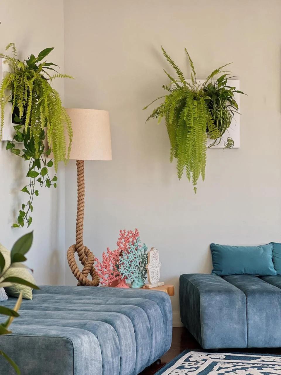 Luna House & Cowork photo