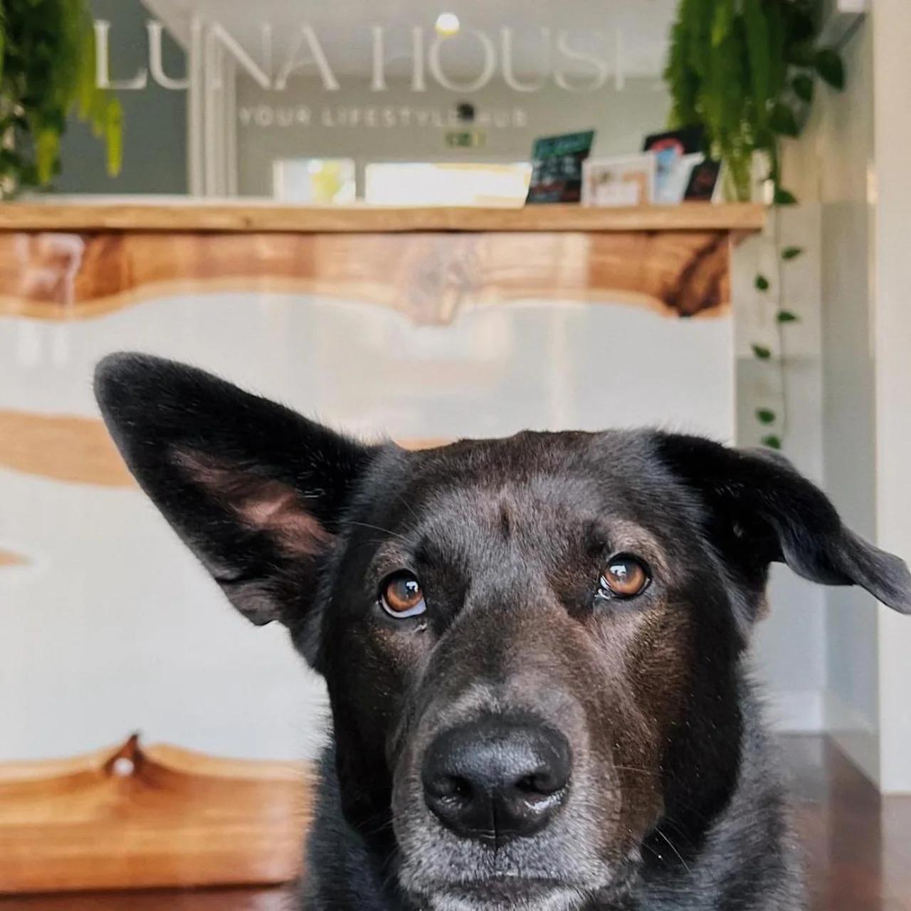 Luna House & Cowork foto