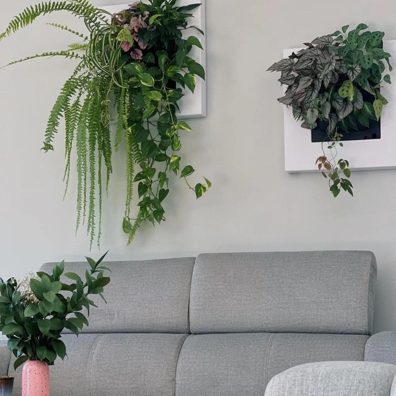 Luna House & Cowork foto