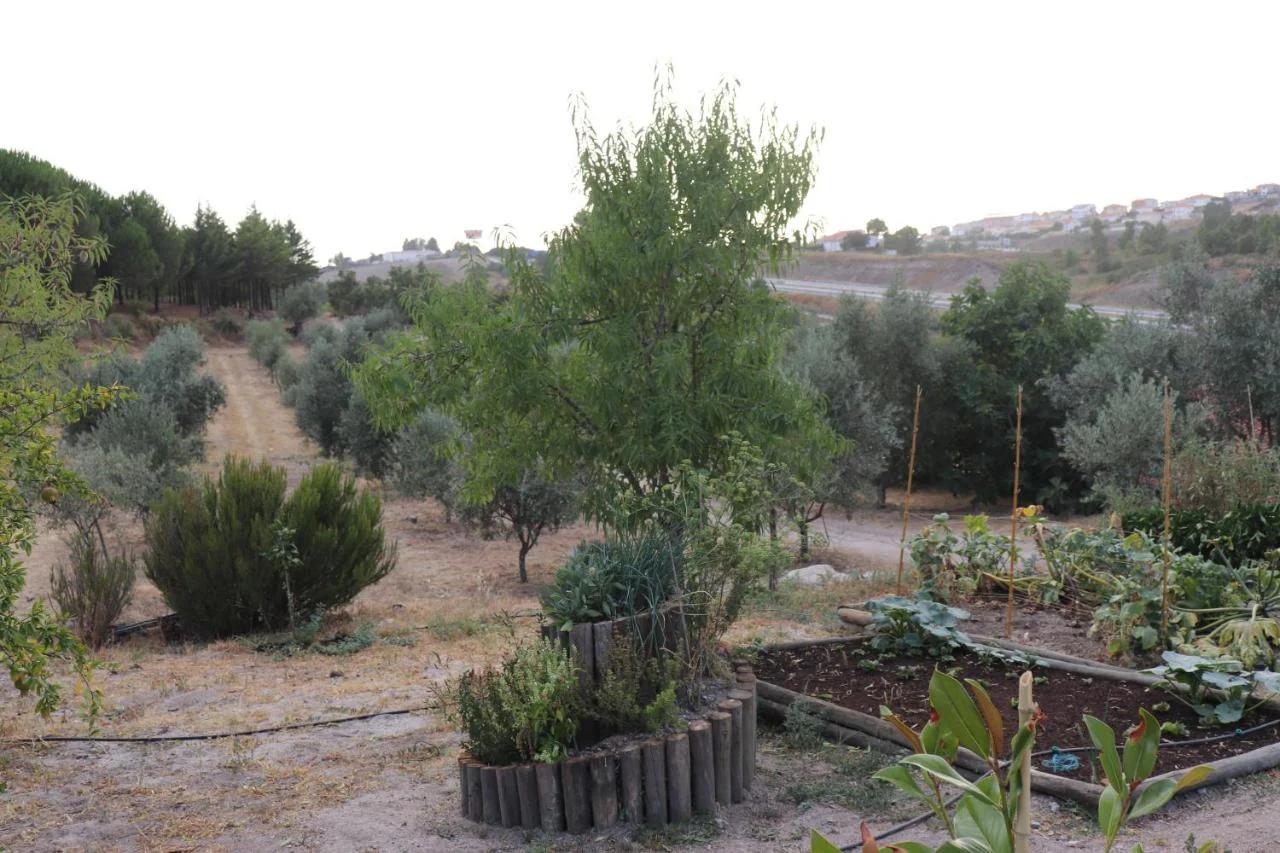 Quinta da Poipa photo