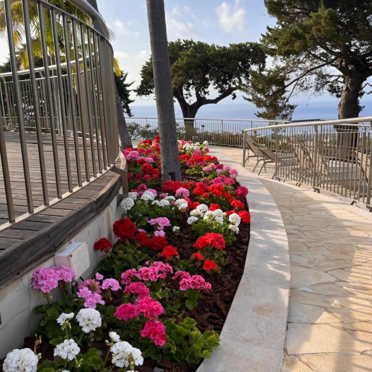 Quinta Funchal Gardens - Adults Only foto