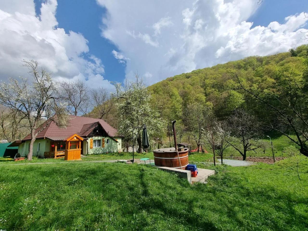 Cabana Ciupercuța