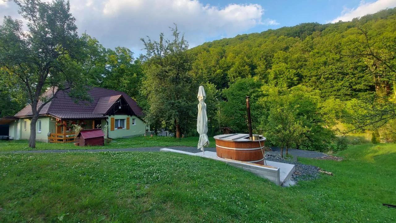 Cabana Ciupercuța photo