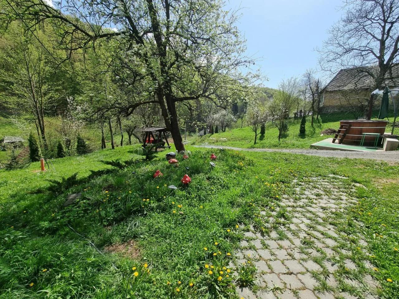 Cabana Ciupercuța photo