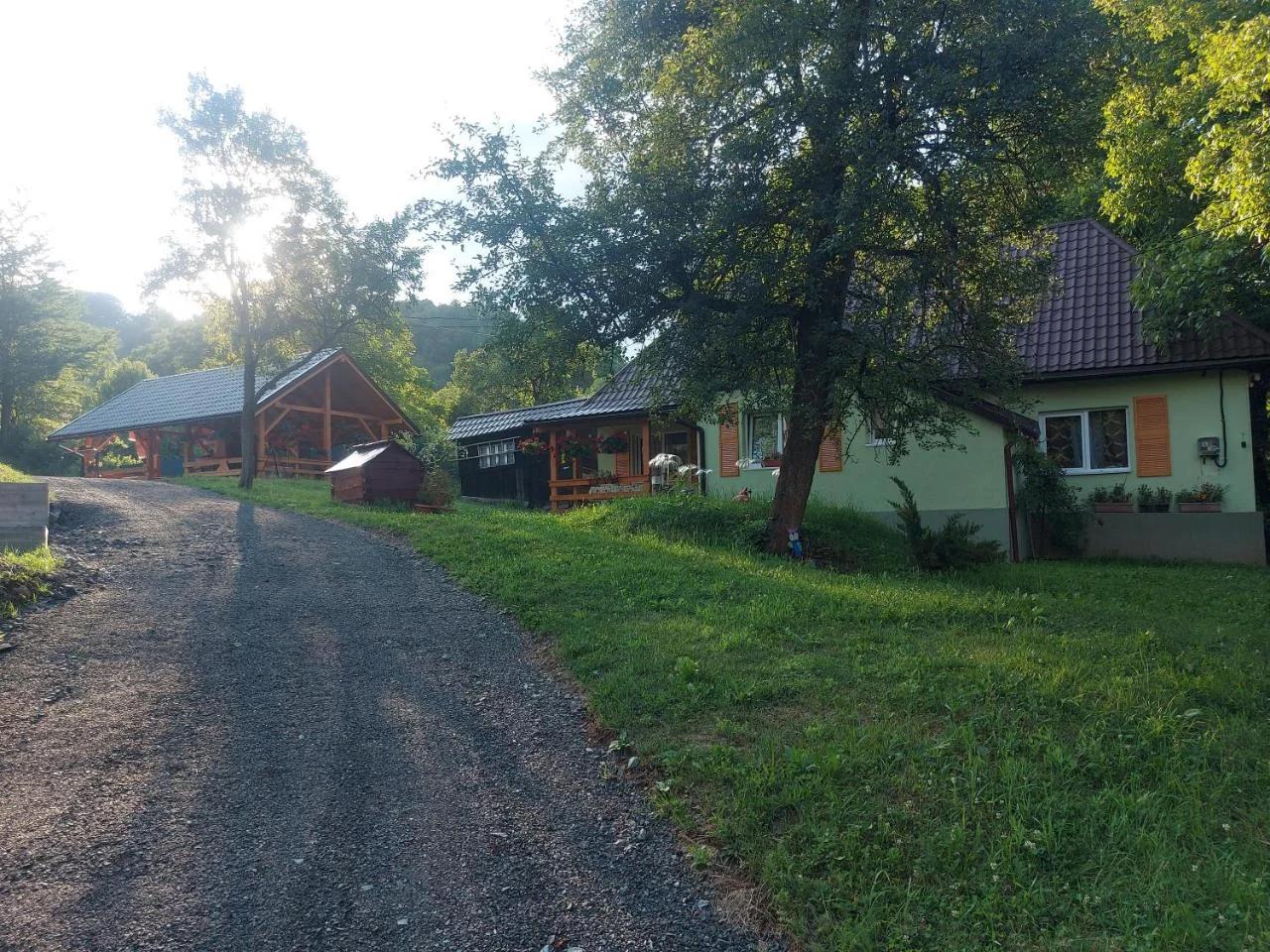 Cabana Ciupercuța photo