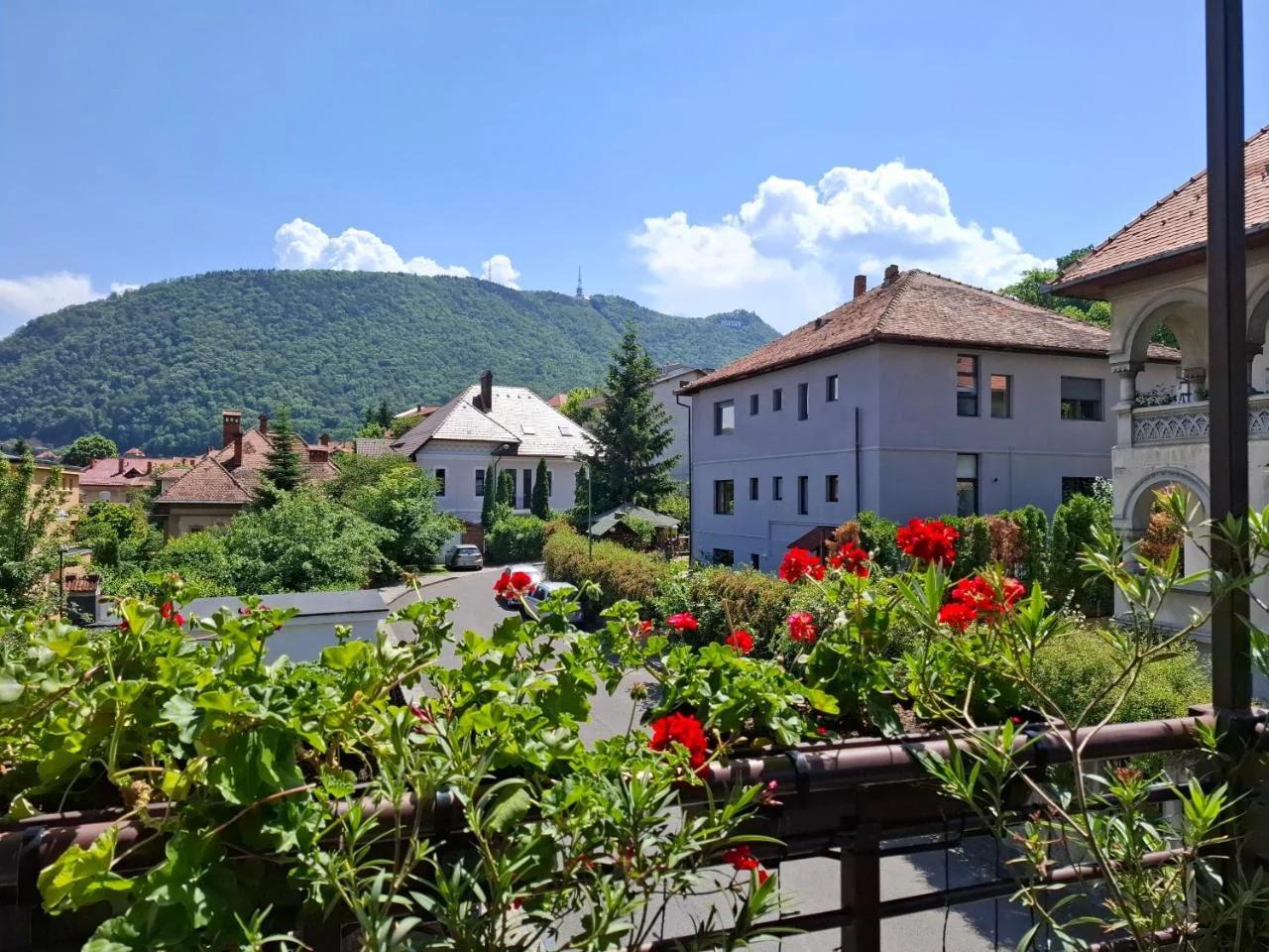 Casa Bologna photo