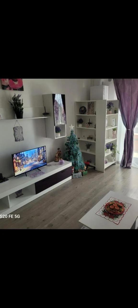 Casa cu lavanda foto