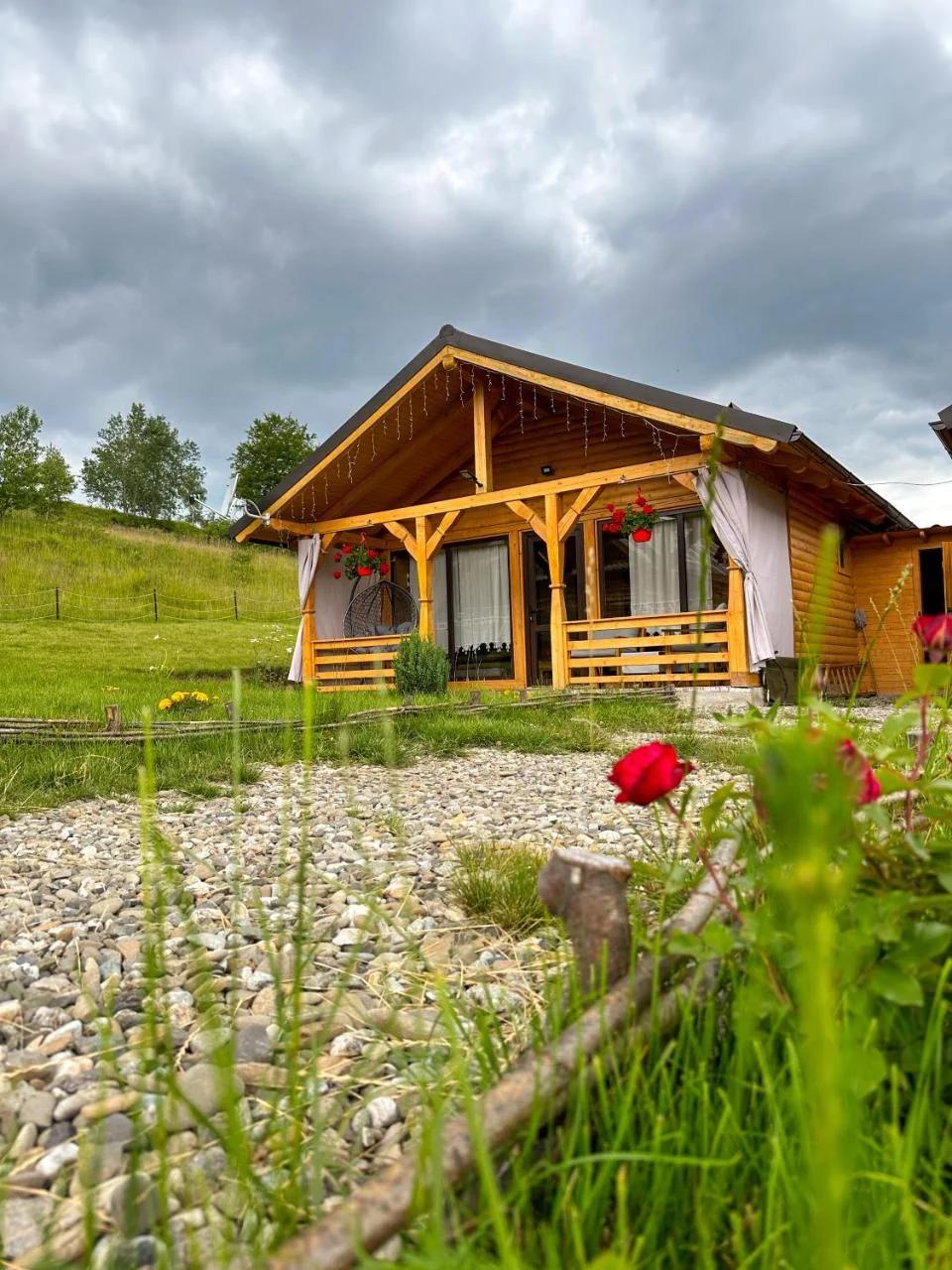Căsuțele din Poiană photo