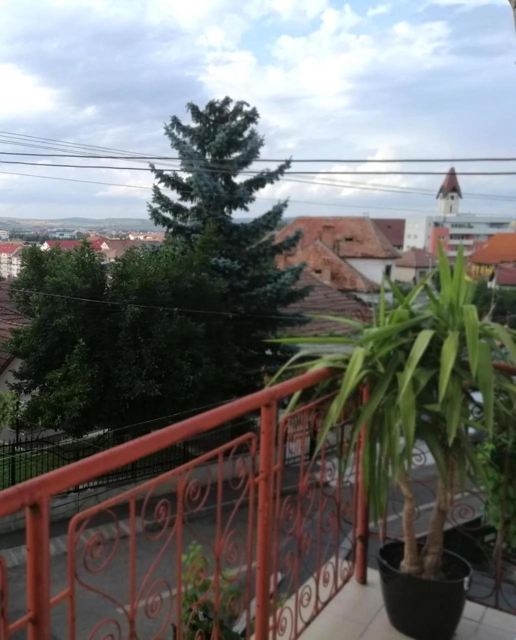 Check-In Kaya photo