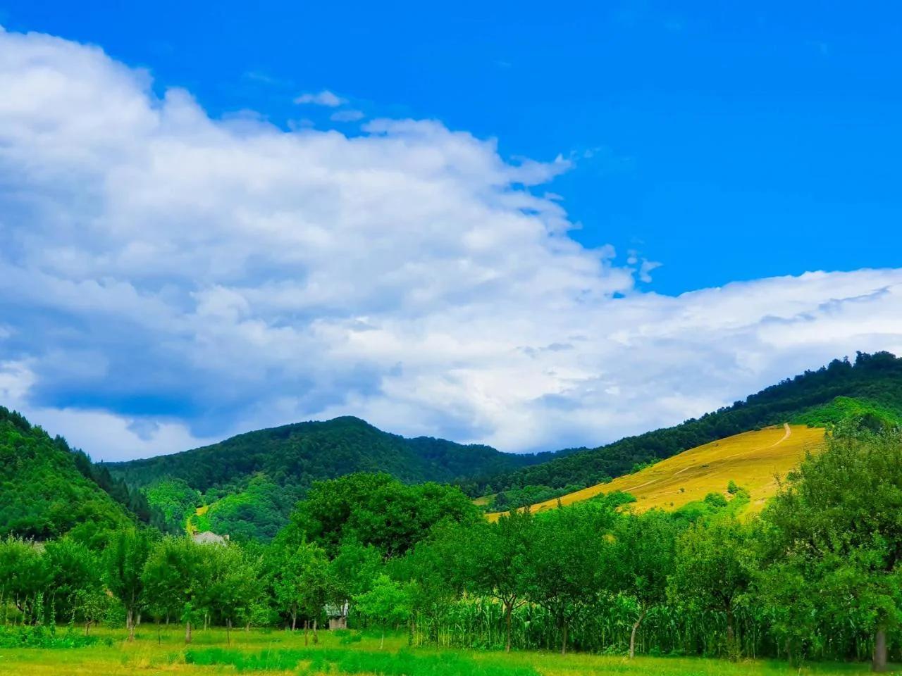 Domeniul Acasa in Vadu Izei Maramu foto